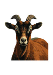 goat vector illustration logo concept design	