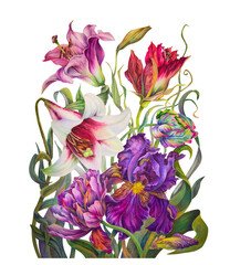 Watercolor flower arrangement. Bouquet of lilies, tulips and irises.  Botanical watercolor illustration. The drawing is isolated on a white background. The flower is hand-painted