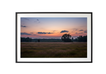 Serene Sunrise Over a Tranquil Meadow isolated on transparent background