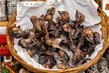 The witchcraft market of La Paz in Bolivia 