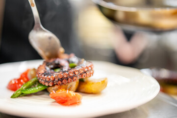 Chef plating grilled octopus with roasted vegetables and sauce in a professional kitchen. Gourmet seafood dish with artistic presentation and culinary precision
