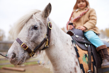 Caucasian child riding pony outdoors, sitting on saddle with hands holding reins, wearing warm clothing, pony standing in foreground with bridle, blurred background visible