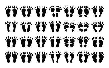 Vector art of collection of animal footprints a diverse set of paw prints, showcasing the unique tracks of various creatures, perfect for educational or decorative purposes