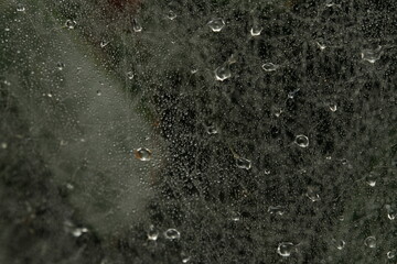 rain drops on the window