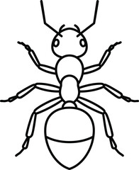 Simple Black Line Drawing of an Ant Insect Creature Illustration