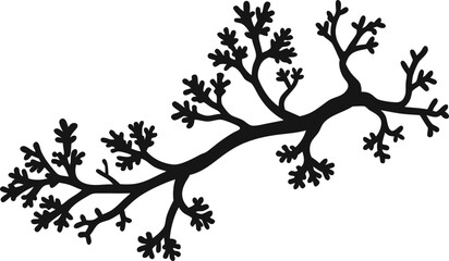  lichen on a branch on white background