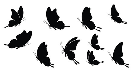 a group of black butterfly silhouettes flying gracefully