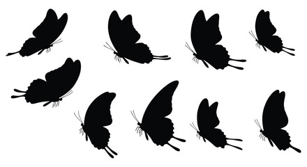 a group of black butterfly silhouettes flying freely