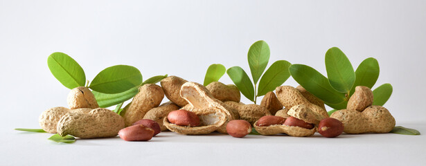 Row of peeled and unpeeled peanuts and white isolated background