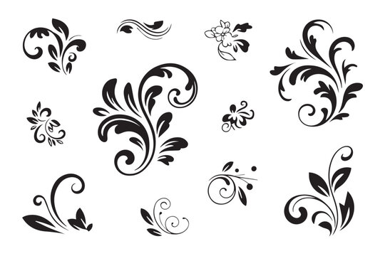 decorative botanical flourish vector set ornamental flower swirl leaf design elements ai eps jpeg png