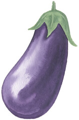 Watercolor illustration of an eggplant on transparent background.