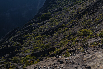 Inclined Landscape with Shrubbery and Rocky Terrain Showcasing Natural Beauty