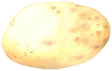 Watercolor illustration of a potato on transparent background.