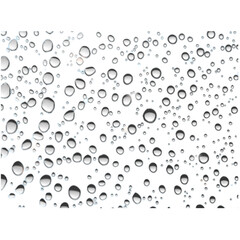Water drop  rain drops Realistic water drops. PNG drops, condensation on the window, transparent...