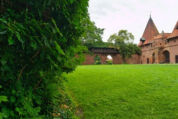 Historic castle ruins surrounded by lush greenery in a tranquil setting near the edge of a forest