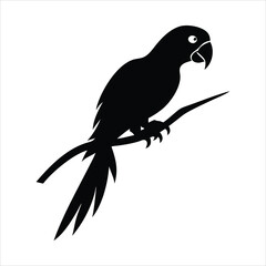 Silhouette of a parrot perched on a branch against a white background