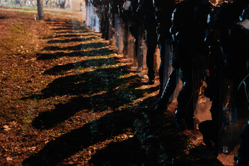 Police officers in tactical gear standing in formation during nighttime crowd control efforts at a...