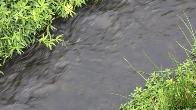 Los Angeles River Stream Water Rushing As Seen From Above