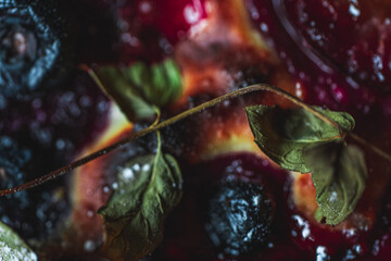 Background with the texture of sweet pie with apricot and figs. Close-up, top view. High quality photo