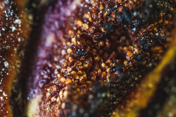 Background with the texture of baked figs, close-up. Macro photography. High quality photo