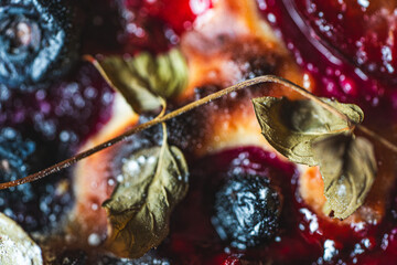 Background with the texture of sweet pie with apricot and figs. Close-up, top view. High quality photo