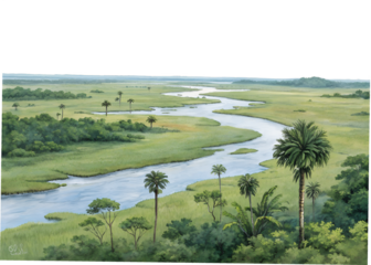 Marshland with winding river and palm trees isolated on transparent background