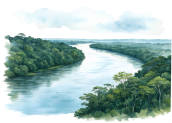 Watercolor painting of amazon river and rainforest isolated on transparent background