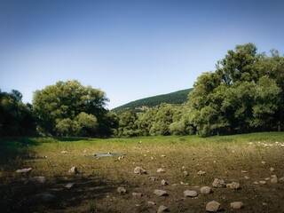 Dry Lake under Dev&iacute;n Castle, Slovakia