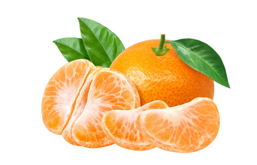 みかん イラスト リアル 果物