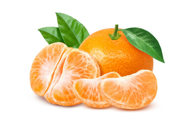 みかん イラスト リアル 果物