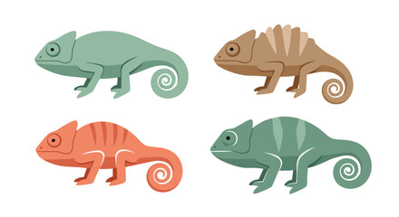 Four distinctive chameleons showcasing their unique coloration and adaptable features