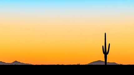 Cactus silhouette at sunset in desert landscape