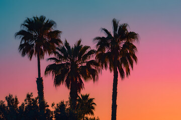 Exotic Tropical Sunset with Palm Trees