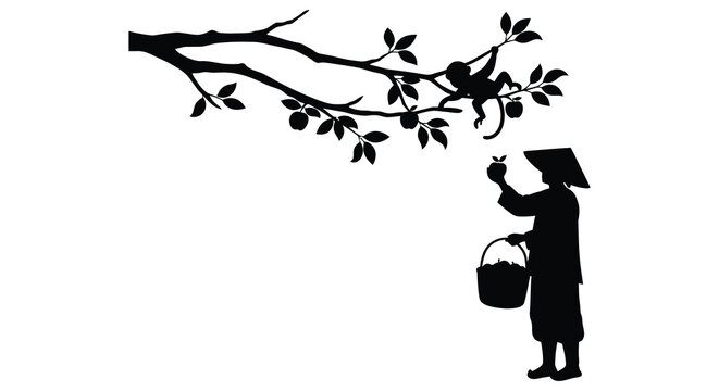 a person picking fruit from tree branch silhouette