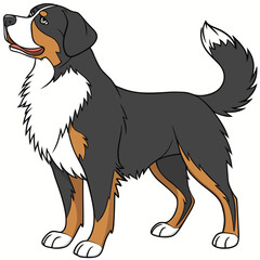 Cartoon illustration of a bernese mountain dog standing