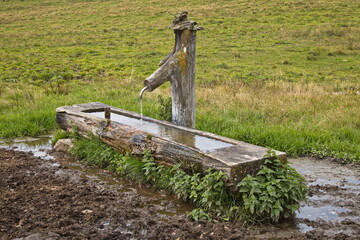 Drinking trough for cattle on alpine pastures over Lofer, Austria, Europe 
