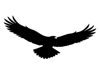 Flying Bald Eagle  simple   silhouette vector, Eagle icon vector
