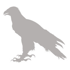 A majestic eagle stands in profile silhouette