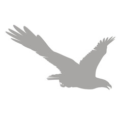 Majestic eagle in flight silhouette