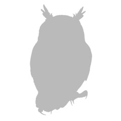 Great horned owl silhouette against a black background