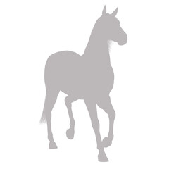 Elegant horse in motion silhouette