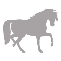 Elegant gray horse in motion silhouette
