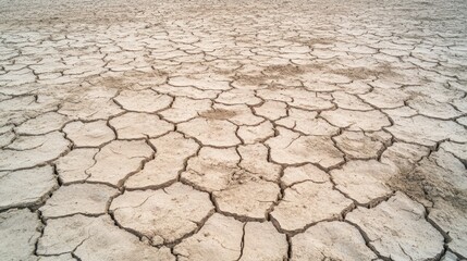 Dry cracked earth texture arid landscape
