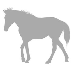 Gray horse silhouette standing against a black background silhouette