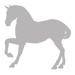 Elegant grey horse silhouette standing proudly on black background silhouette
