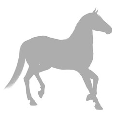 Elegant horse in motion silhouette