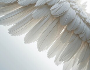 Naklejka premium Elegant white feather wings, symbolizing freedom, purity, and hope in a bright, airy setting