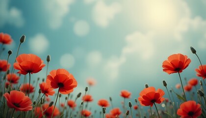 Obraz premium Vibrant red poppy flowers blooming in a sunny meadow under a bright blue sky with soft clouds, capturing the beauty of nature, peace, and freshness in a springtime floral landscape