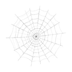 spider web