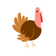 Simple flat turkey bird with fan tail and hanging wattle, standing in profile and isolated on white. Ideal for farm, poultry, holiday and kids themes